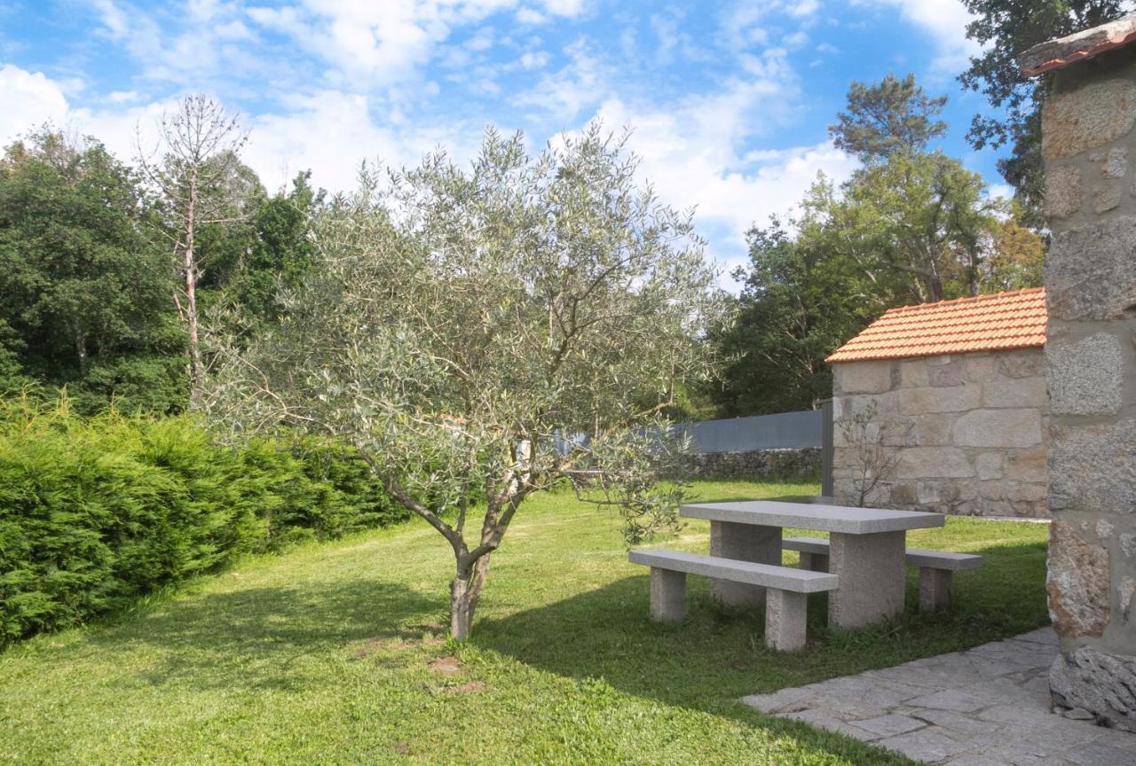 Apartamento Casas D'Oliva Caramulo Exterior foto